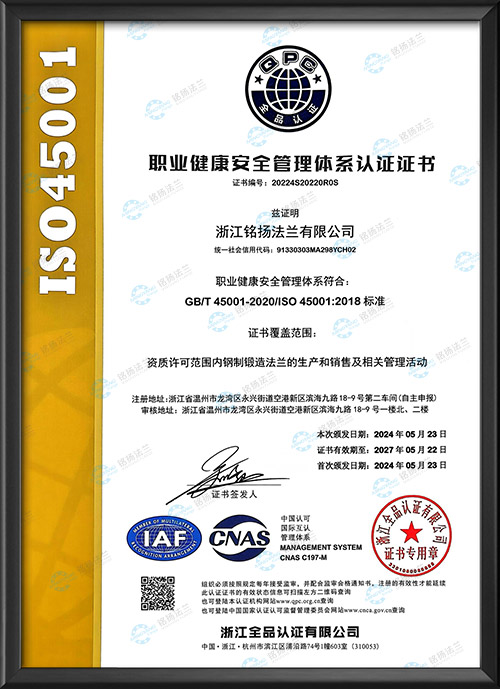 職業(yè)健康安全管理體系認(rèn)證證書